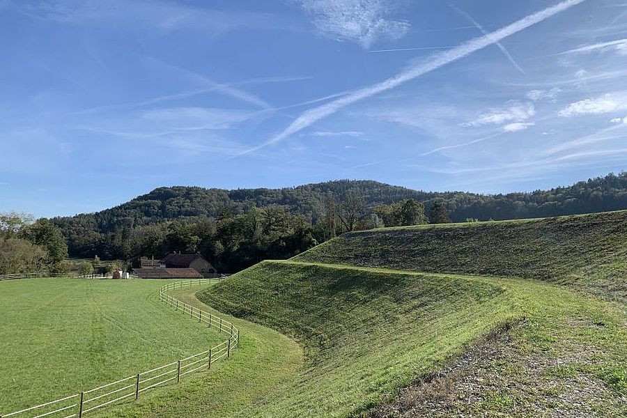 Magerwiese bei der ehemaligen Deponie Bruni