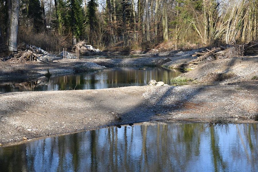 Bau und Abdichtung von Weihern im Auengebiet 