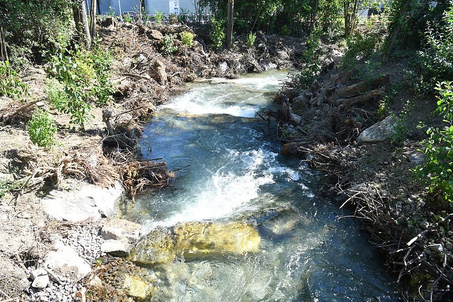 Eine Fischtreppe im Wasserentnahmekanal an der Limmat