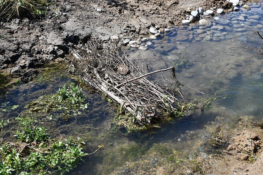 Faschine aus Totholz im Wasser