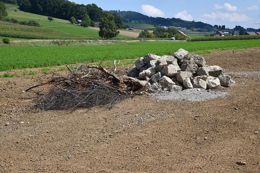 Holz- und Steinhaufen dienen als Unterschlupf für Kleintiere