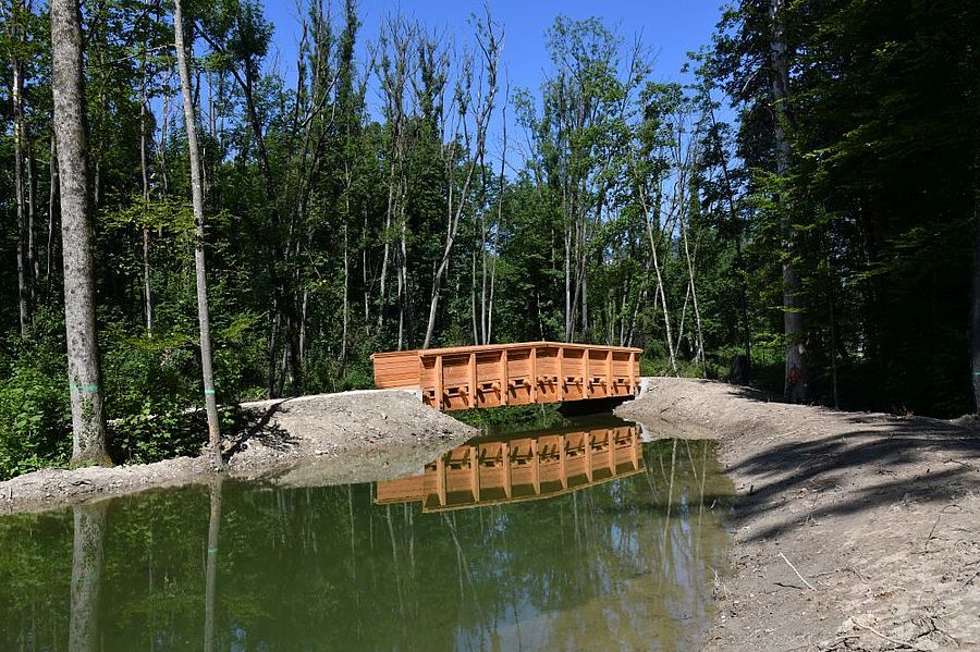 Brücke über einen neuen Seitenarm im Auengebiet der Emme