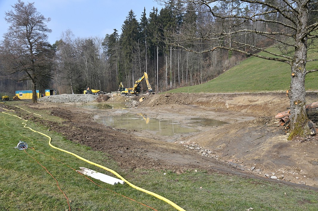 Der teilweise aufgefüllte Weiher