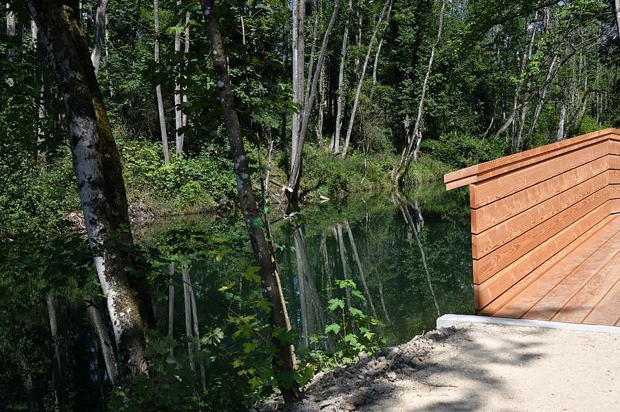 Neue Brücke in der Auenlandschaft der Emme