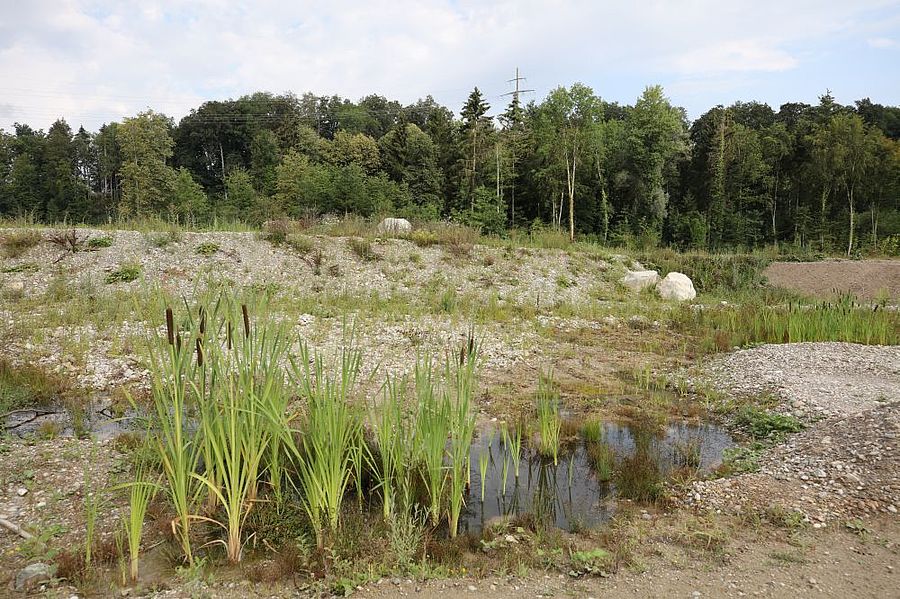 Naturnaher Lebensraum für Mensch und Tier